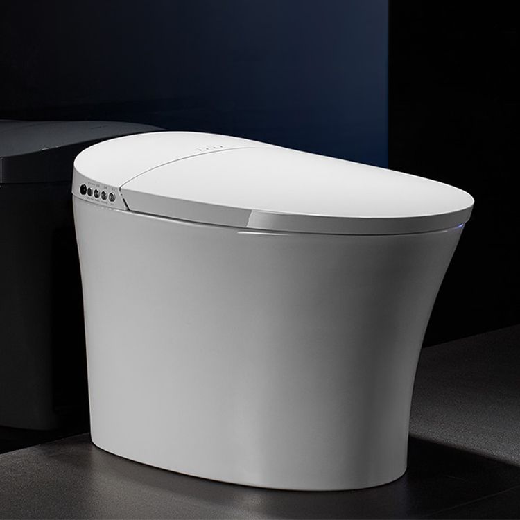 Elongated Floor Standing Bidet Contemporary Floor Mount Bidet