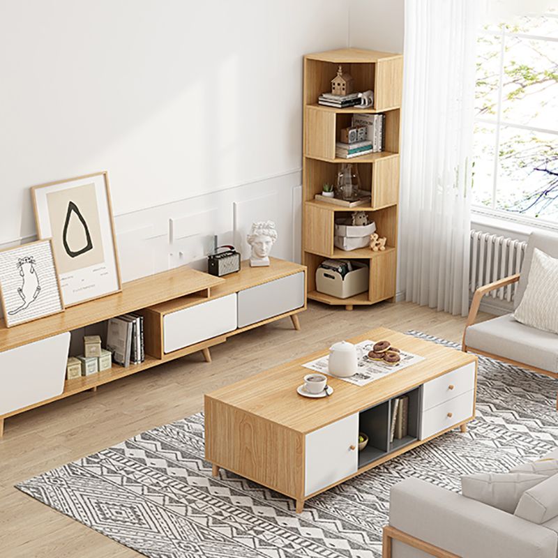 Modern Style Closed Back Bookshelf Engineered Wood Bookcase with Shelves