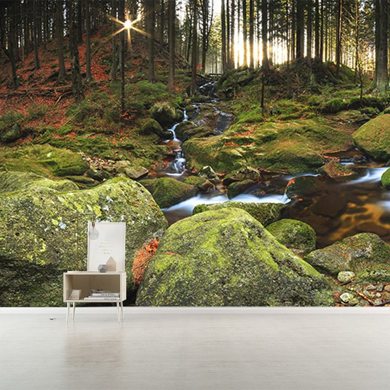 Tropical Forest Creek Wallpaper Mural in Green Living Room Wall Decor, Custom Size