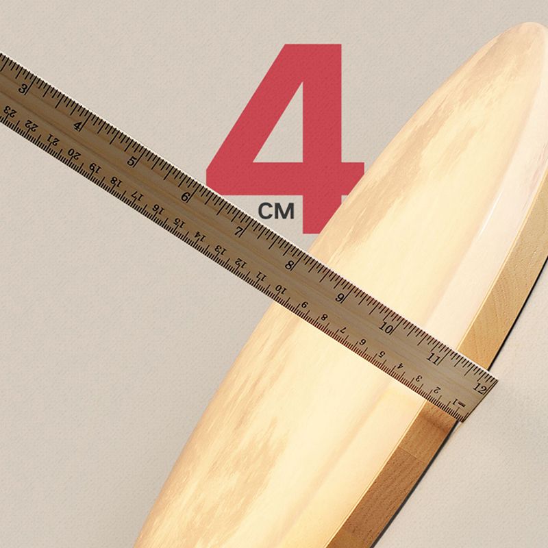 Modernism Circle Flush Mount Ceiling Light Fixture with Wood for Bedroom