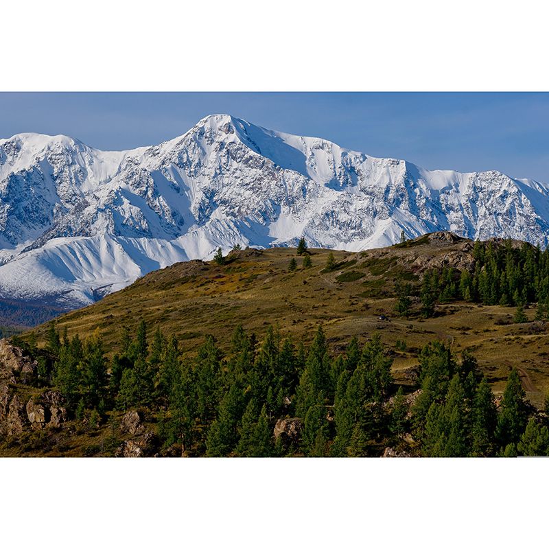 Environment Friendly Photography Wallpaper Living Room Wall Mural