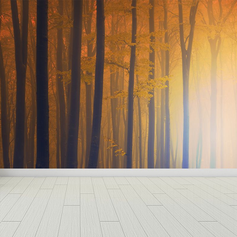 Scenery Print Mural Wallpaper Soft Color Contemporary Wall Decor for House Interior