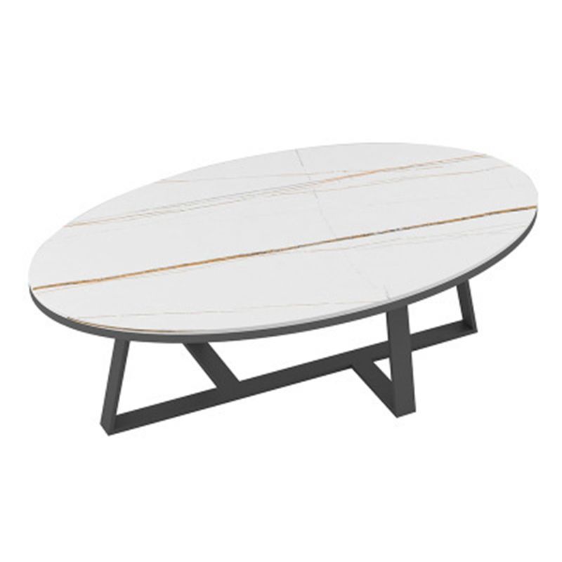1 Slate Oval Coffee Table Modern Cocktail Table for Living Room