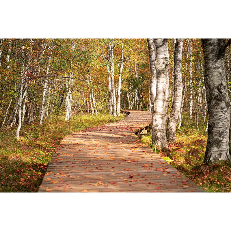 Horizontal Photography Space Extension Mural Eco-friendly Wallpaper for Home Decor