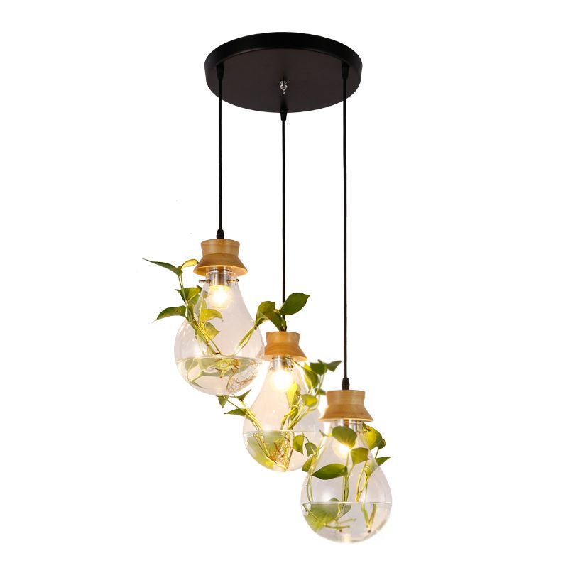 Contemporary Design Bulb Glass Shade Hanging Lamp Hydroponics Plant Drop Pendant for Coffee Shop