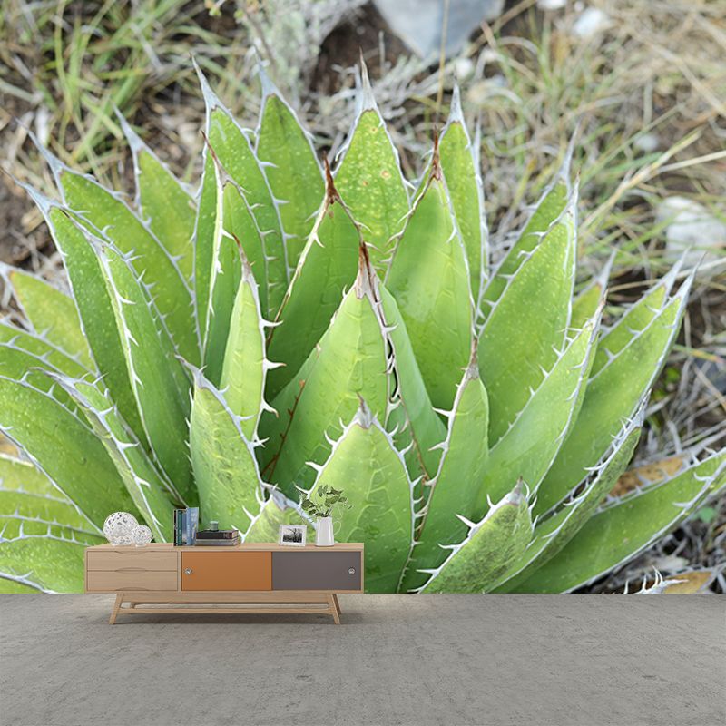 Tropical Plants Mural Wallpaper Moisture-Resistant Wall Covering for Bedroom