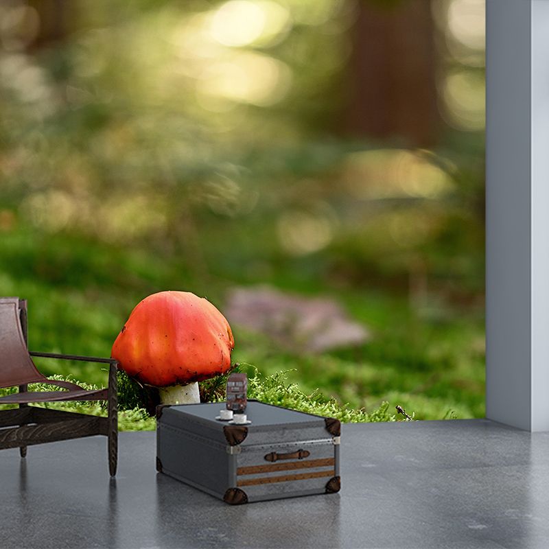 Photography Toadstool Mural Wallpaper Eco-friendly Contemporary Wall Murals