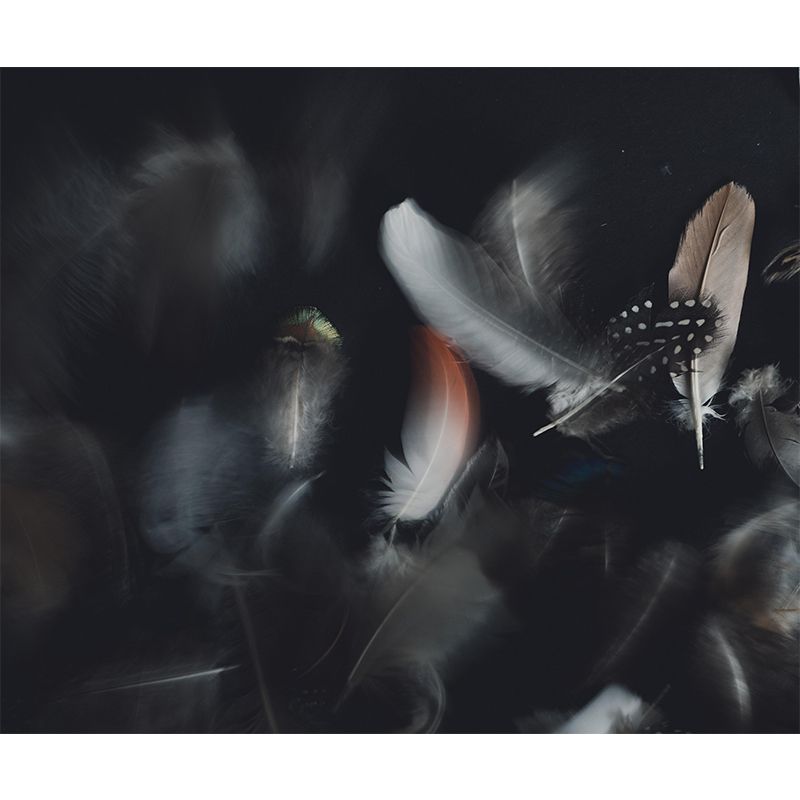 Soft Feather Wall Mural Wallpaper Mildew Resistant Wall Covering for Decoration