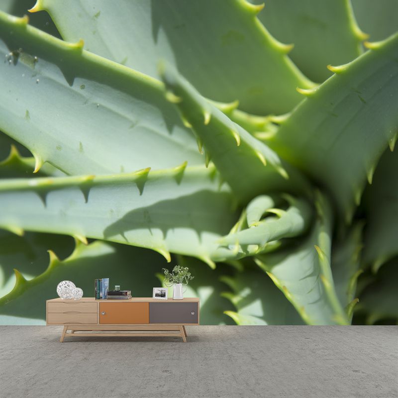 Aloe Plant Mural Wallpaper for Reading Room Bedroom, Custom Size Available