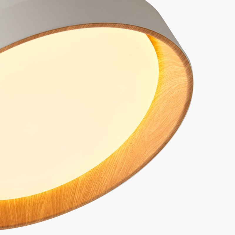 Round Flush Mount Light 1 Light Acrylic Modern Simplicity Flush Mount Spotlight for Bedroom