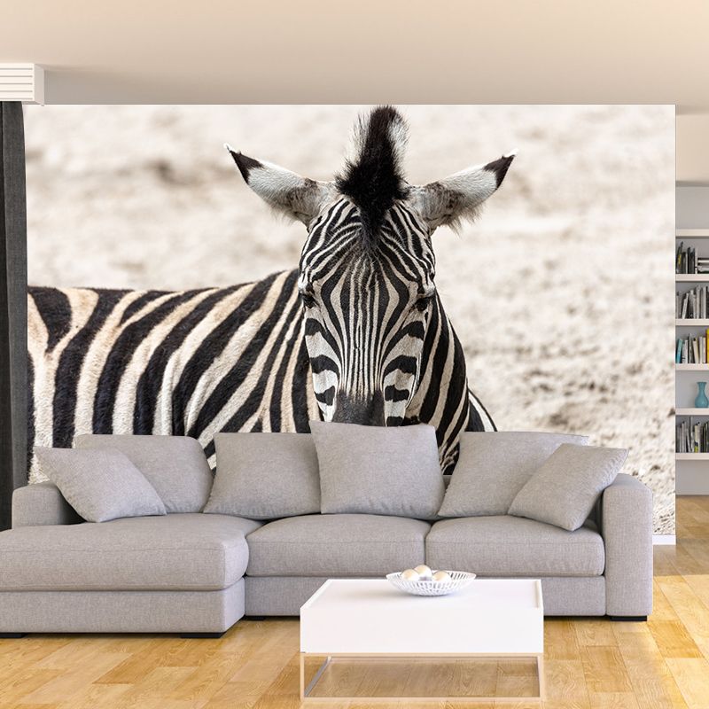 Black and White Zebra Mural for Sleeping Room Waterproof, Made to Measure