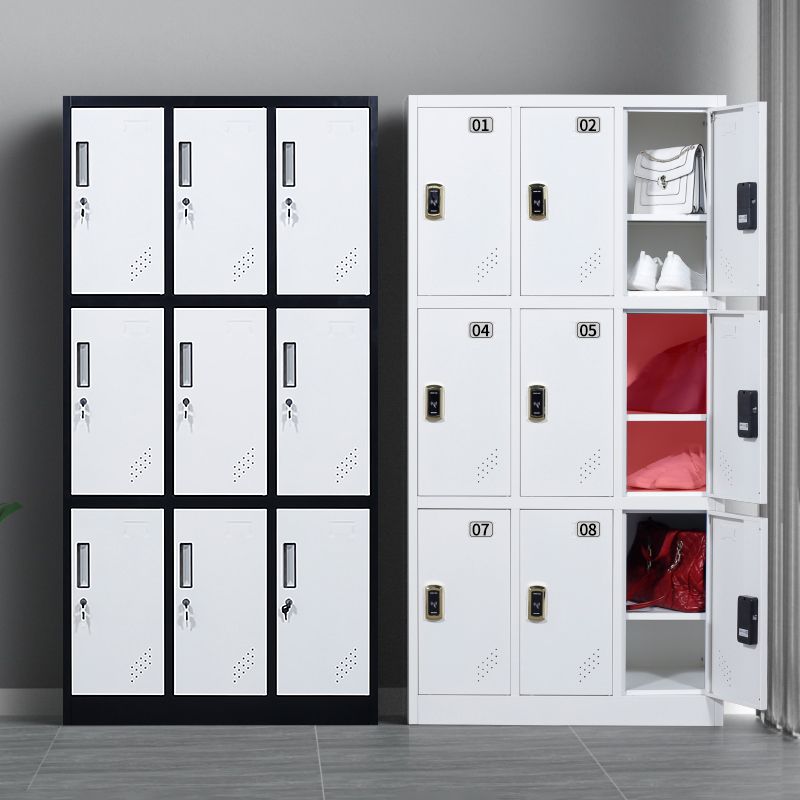 Metal Contemporary Cabinet for Home Matte Finish Storage Cabinet