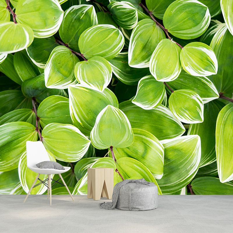 Beautiful Photography Mural Wallpaper Plants Decorative Indoor Wall Mural