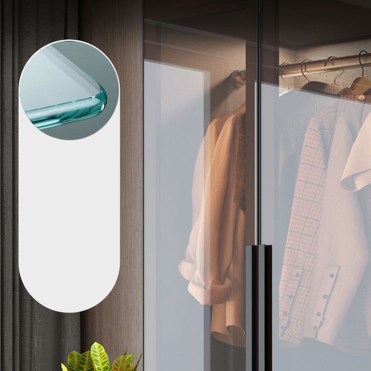 Contemporary Storage Cabinet Mirrored Finish Cabinet with Glass Door