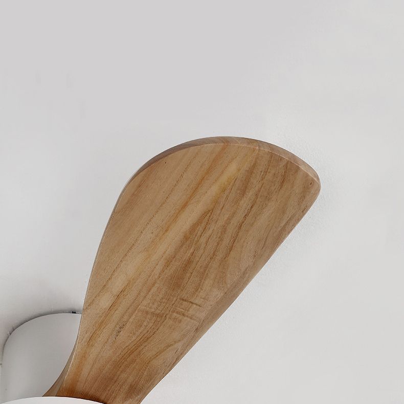 Colorful LED Ceiling Fan Light Fixture Nordic Ceiling Flush Mount for Kids' Room