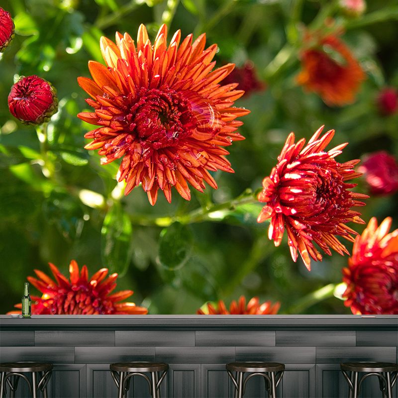 Customized Asters Mural Decal Eco-friendly Wallpaper for Living Room Wall Art