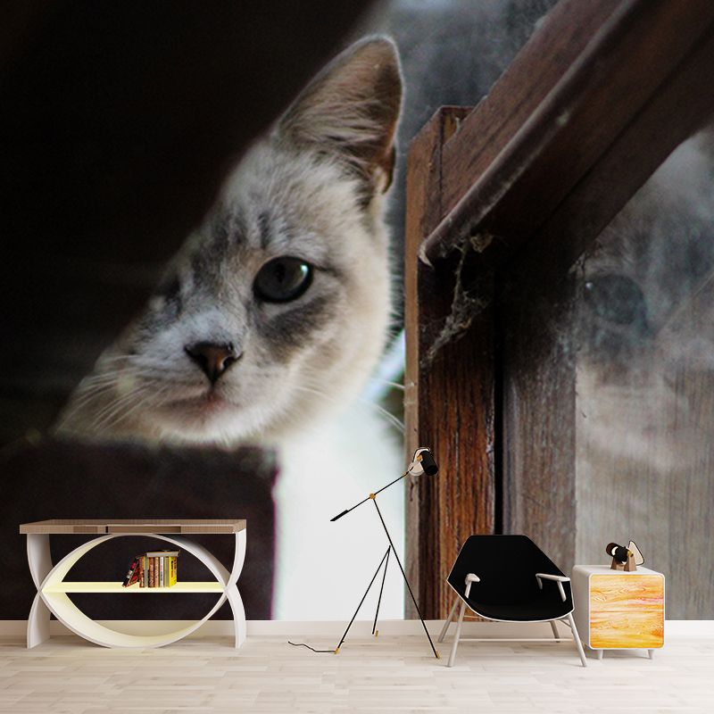 Environment Friendly Resistant Mural Wallpaper Cute Cats Sleeping Room Wall Mural