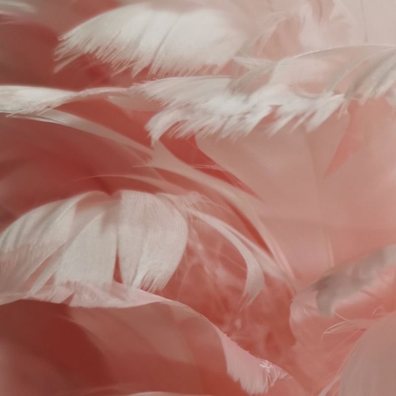 Lámpara de escritorio de plumas creativas de estilo moderno de escritorio para dormitorio