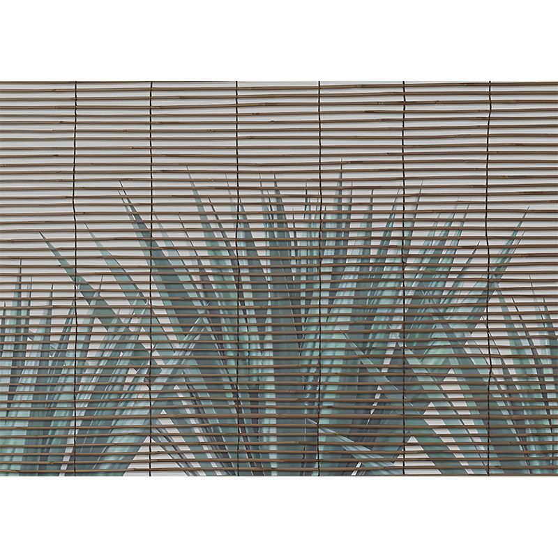 Custom Illustration Tropix Mural Wallpaper with Pleated Shades and Aloe Vera Pattern in Green