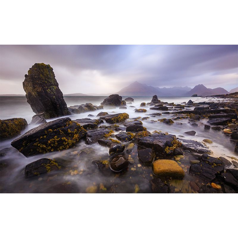 Modernism River Stones Mural Wallpaper Grey Stain Resistant Wall Covering for Home