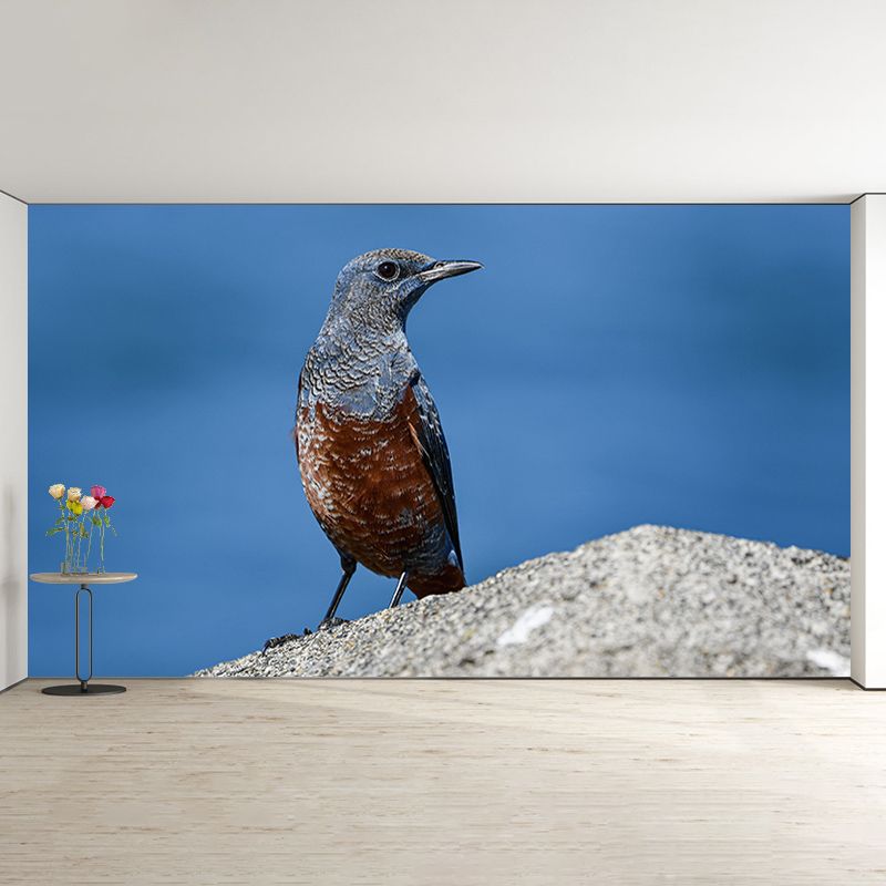 Blue-Rock-Thrush Wall Decor Mural Moisture Resistant Living Room Wall Covering