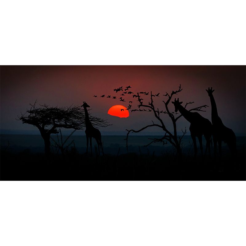Photography Pattern Mildew Wall Mural Sunset Horizontalt for Living Room