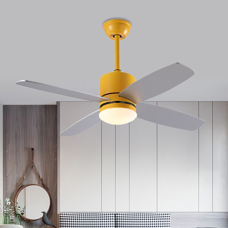 Cylindre Semi Flush Mounted lampe moderne métallique vert / gris / jaune 4 lames LED de ventilateur suspendu léger, 42 "W