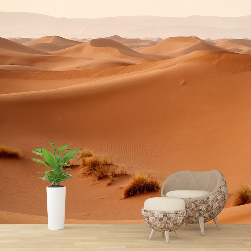 Nature Landscape of Desert Wall Mural Moisture Resistant Contemporary Wallpaper