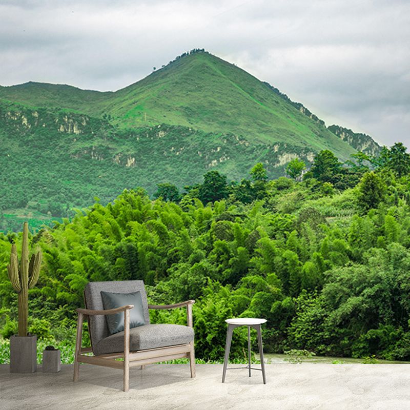 Mountain Scene Contemporary Mural Horizontal Photography Room Wall Mural