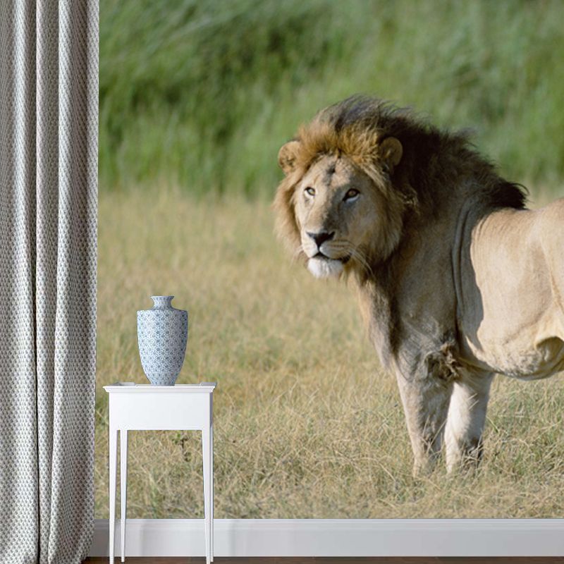 Lion in Savannas Wall Mural Modern Style Smooth Wall Art in Green for Living Room