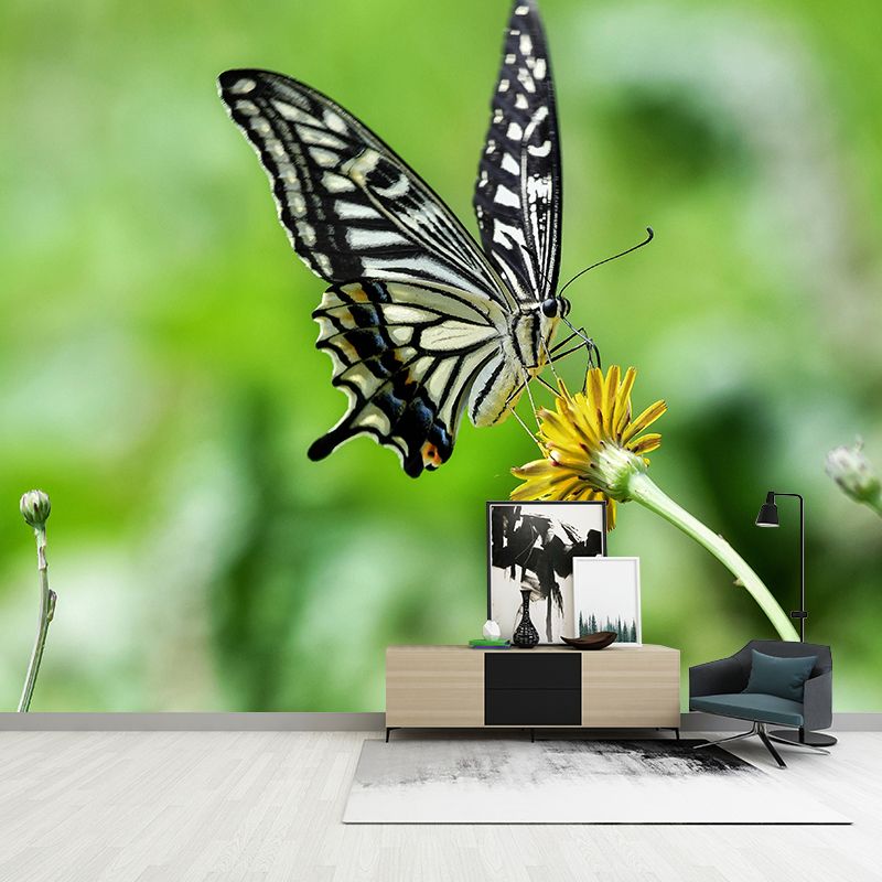 Customized Swallowtail Butterfly Mural Horizontal Photography for Sleeping Room