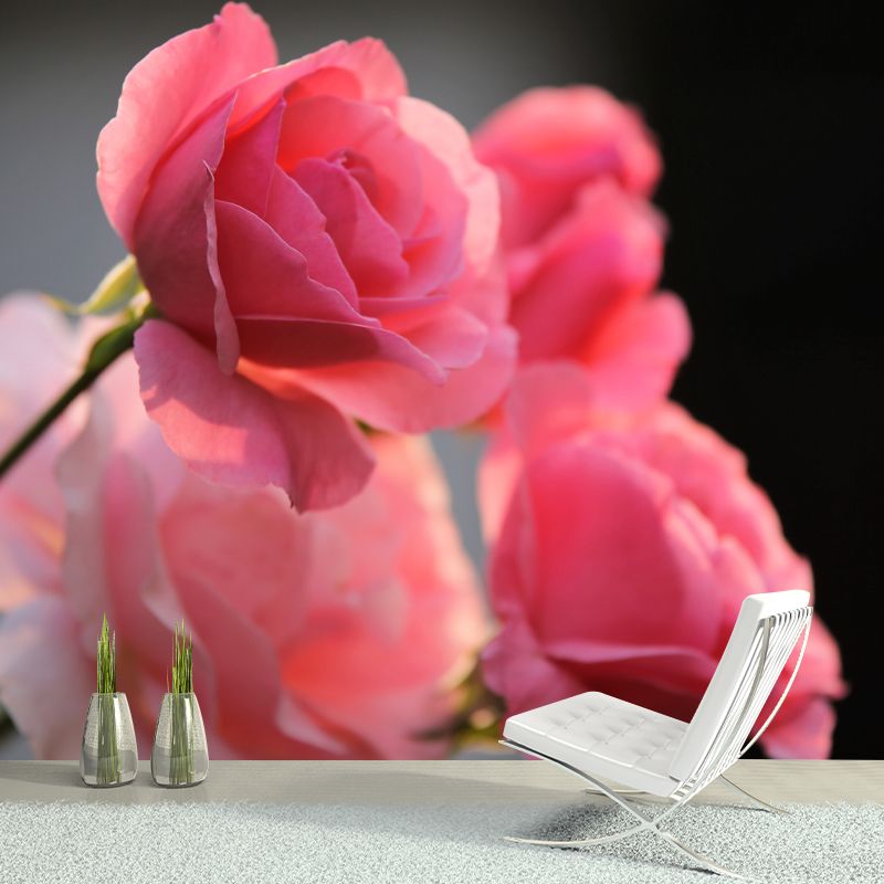 Bright Roses Mural Wallpaper Water-Resistant Wall Covering for Living Room