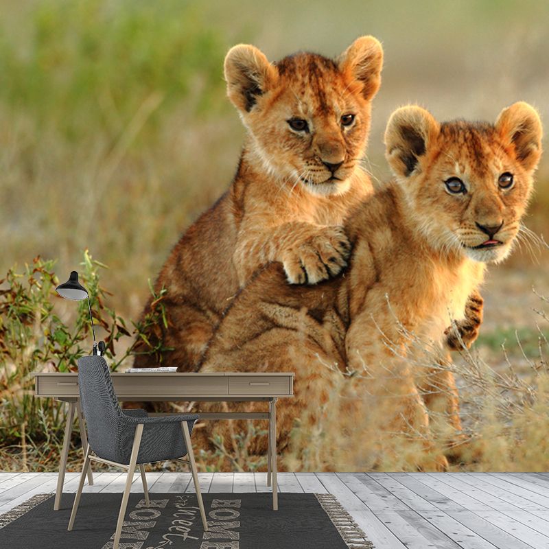 Cute Young Lions Wall Mural for Accent Wall Wild Animal Print Wall Decor, Made to Measure