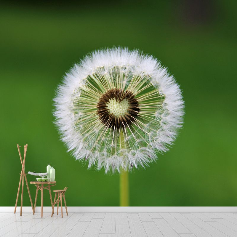 Dandelion Plant Mural Wallpaper for Living Room Decor, Custom Size Available