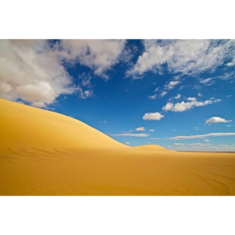 Desert Scene Contemporary Style Desert Wall Mural Mildew Resistant Wall Art