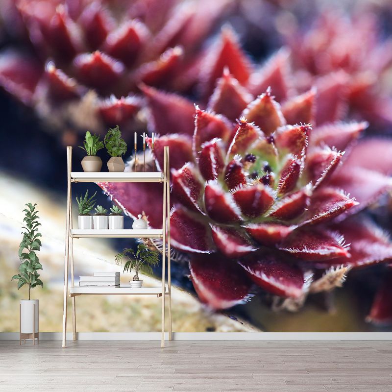 Customized Succulents Wall Mural Stain Resistant for Living Room Decor