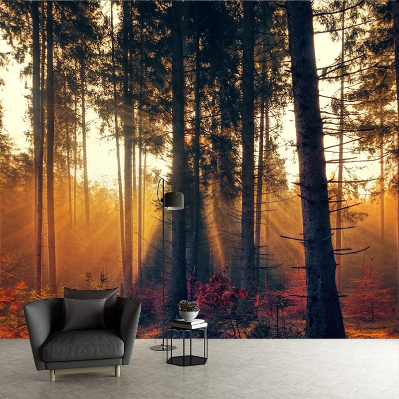 Environmental Wallpaper Forest Mildew Resistant Photography Wall Murals for Home