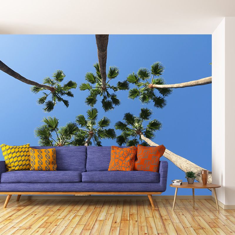 Photography Palm Tree Mural Environment Friendly Wallpaper for Home Decor