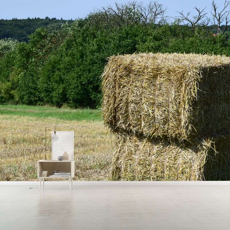 Photography Straw Bale Mural Wall Decor Mildew Resistant for Bedroom