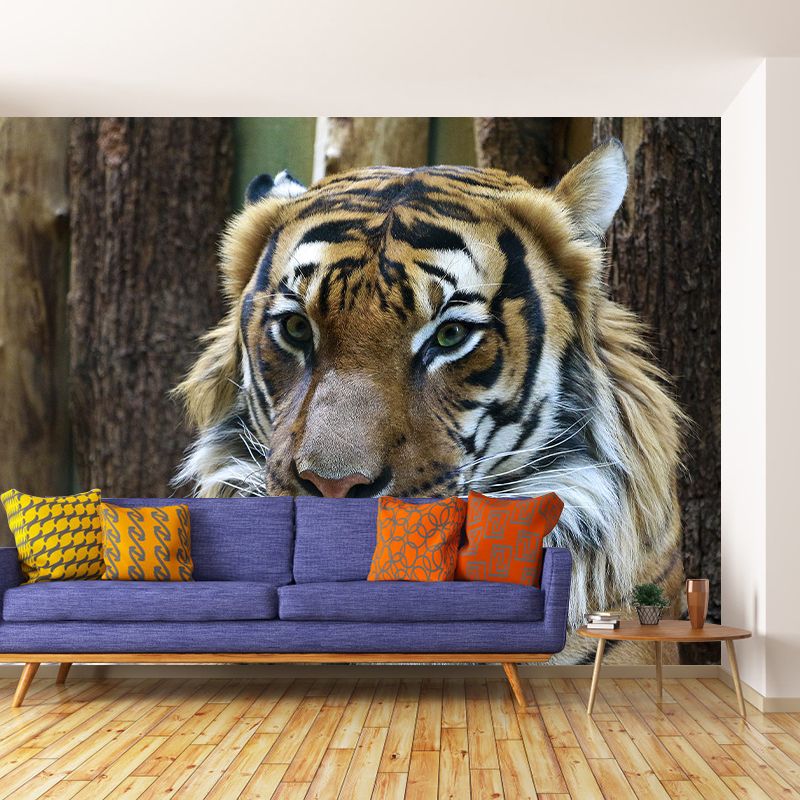 Cool Tiger Jungle Animal Mural Wallpaper Contemporary Wall Covering for Sitting Room