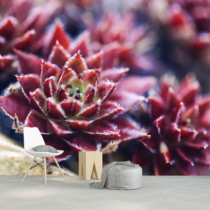 Customized Succulents Wall Mural Stain Resistant for Living Room Decor