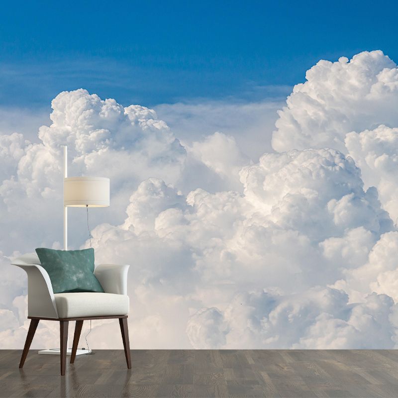 Sky Landscapes Mural Contemporary Wall Covering Light Color for Living Room