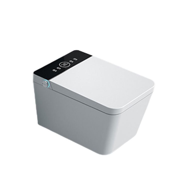 Dual Flush Wall Hung Toilet Set Contemporary Stain Resistant Wall Mounted Bidet