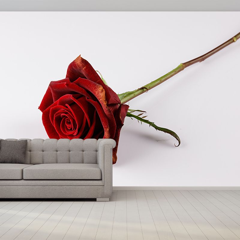 Photography Stain Resistant Wallpaper Beautiful Roses Living Room Wall Mural