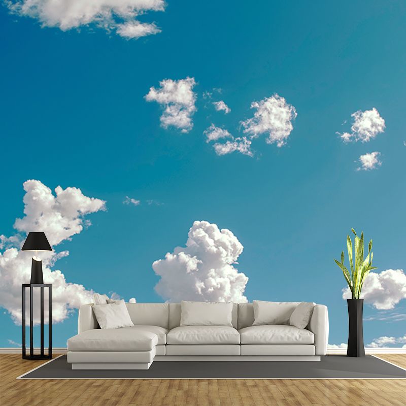 Photography Stain Resistant Mural Wallpaper Beautiful Sky Indoor Wall Mural
