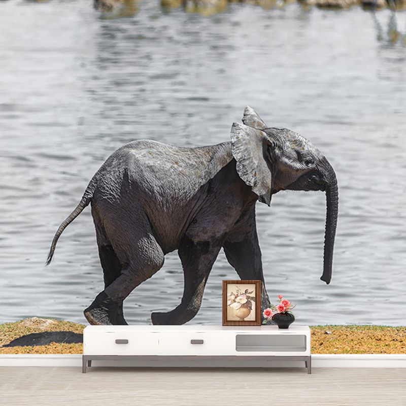 Wild Elephant Animal Mural Wallpaper for Sitting Room, Moisture Resistant