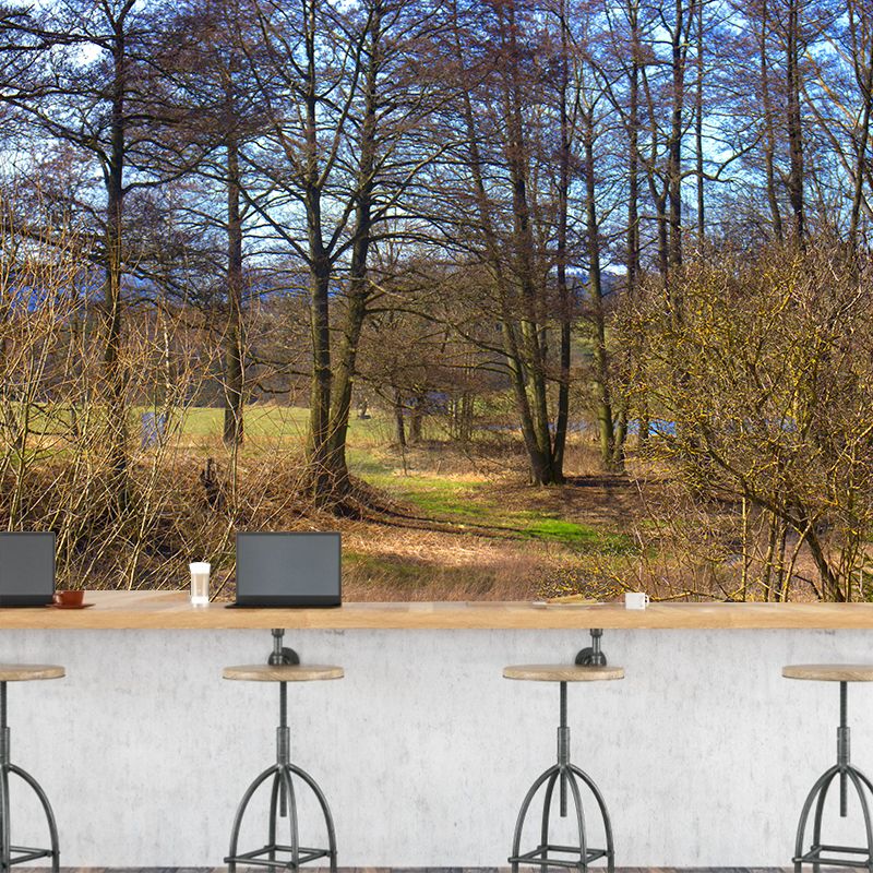 Misty Forest Scenery Stain-Proofing Wall Decor for Living Room Bedroom