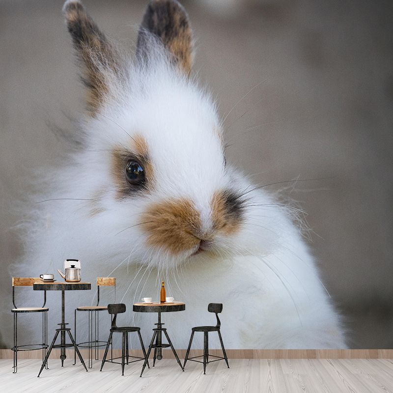 Beautiful Rabbit Mural Wallpaper Stain Resistant Wall Covering for Living Room