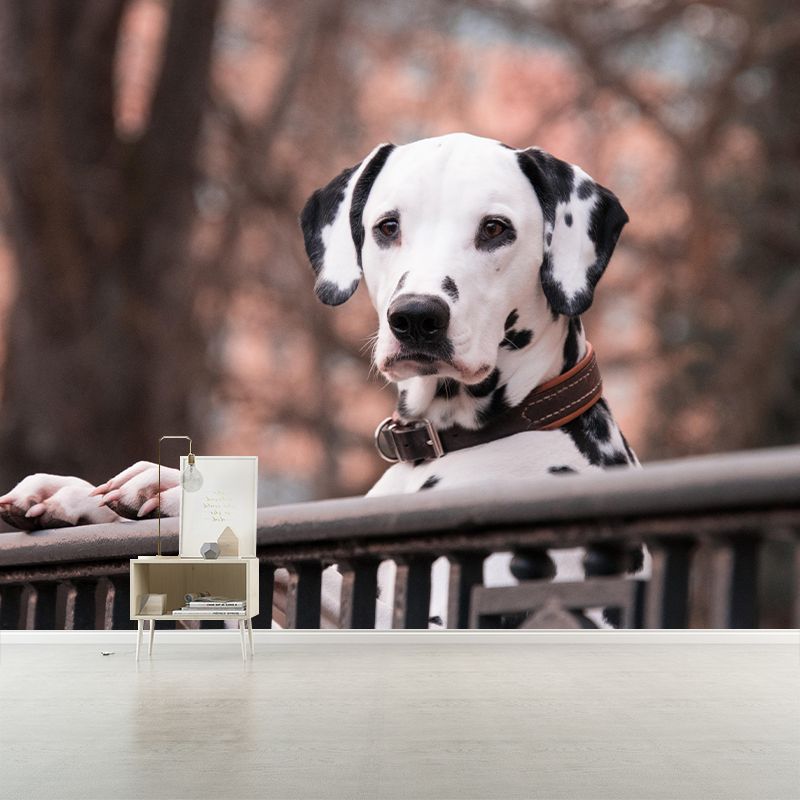 Horizontal Photography Dalmatians Mural Stain Resistant Wall Art for Living Room