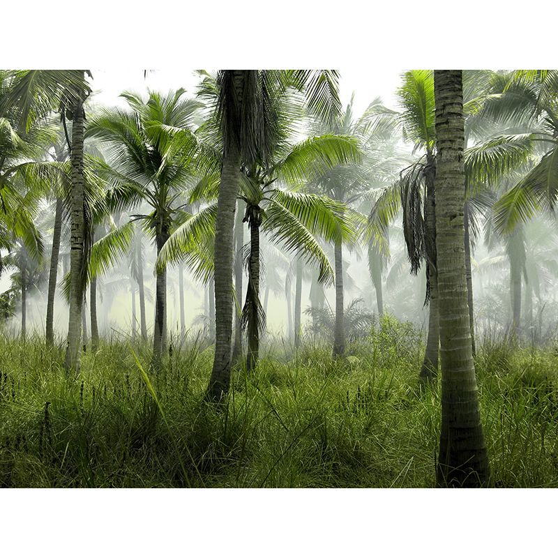 Washable Photography Mural Wallpaper Tropical Landscape Indoor Wall Mural